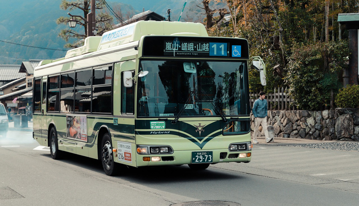 দর্শনীয় স্থান দেখার বাস